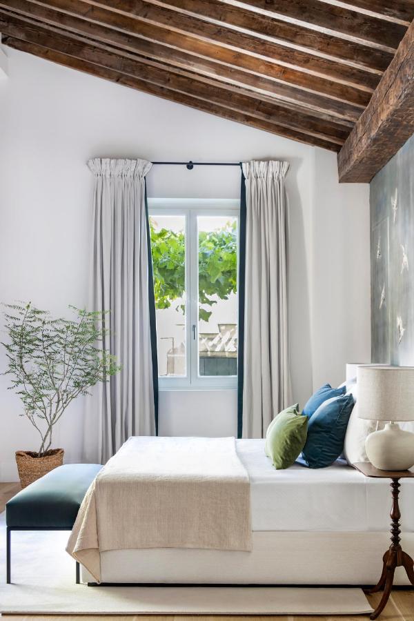 Junior Suite with Terrace