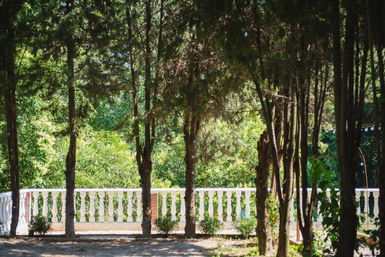 Junior Suite con Vista Giardino