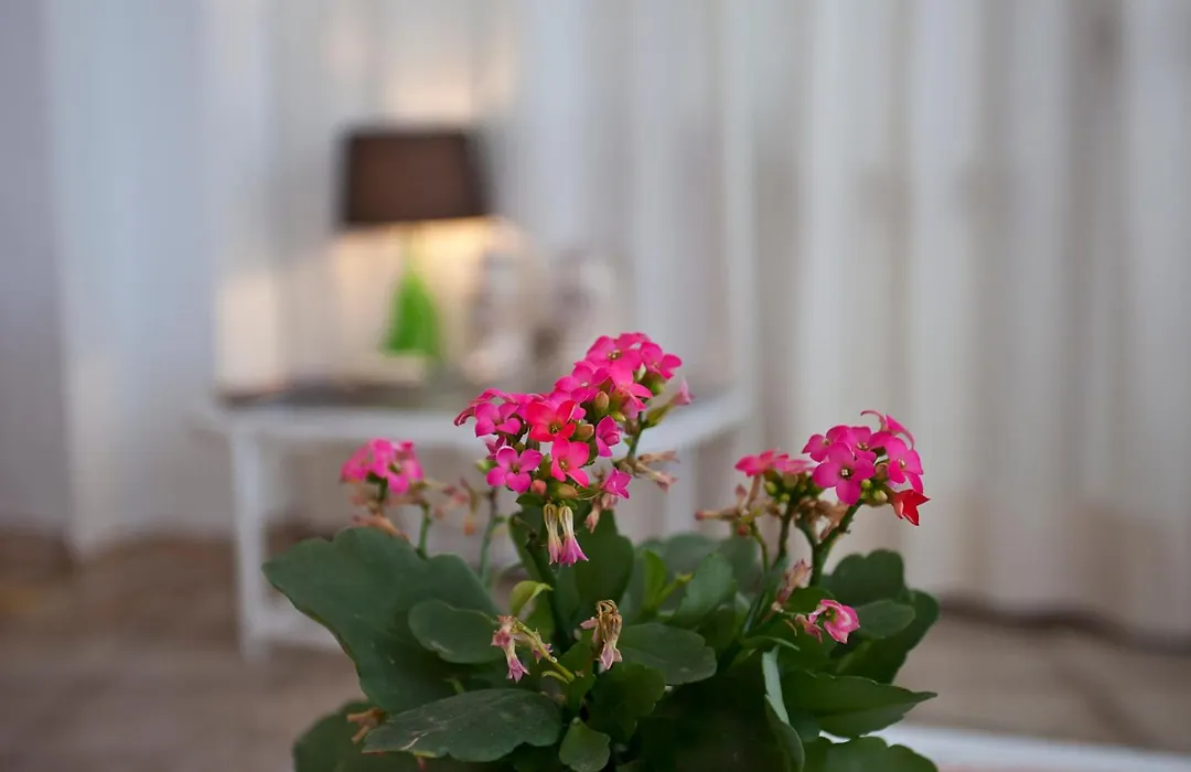 Galaxia Boutique Hotel-1
