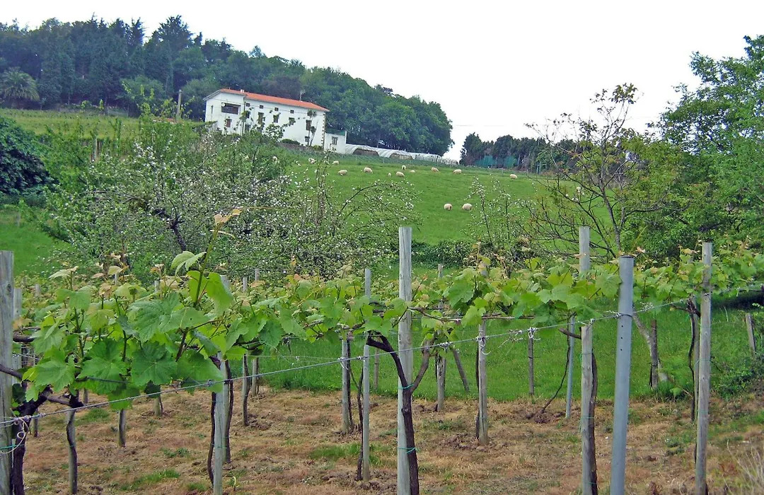 Pension Getariano-1