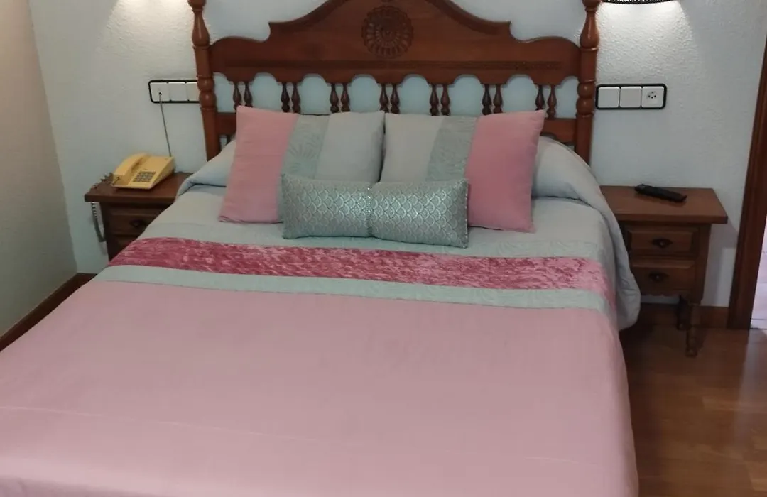 Hotel Los Hidalgos-1
