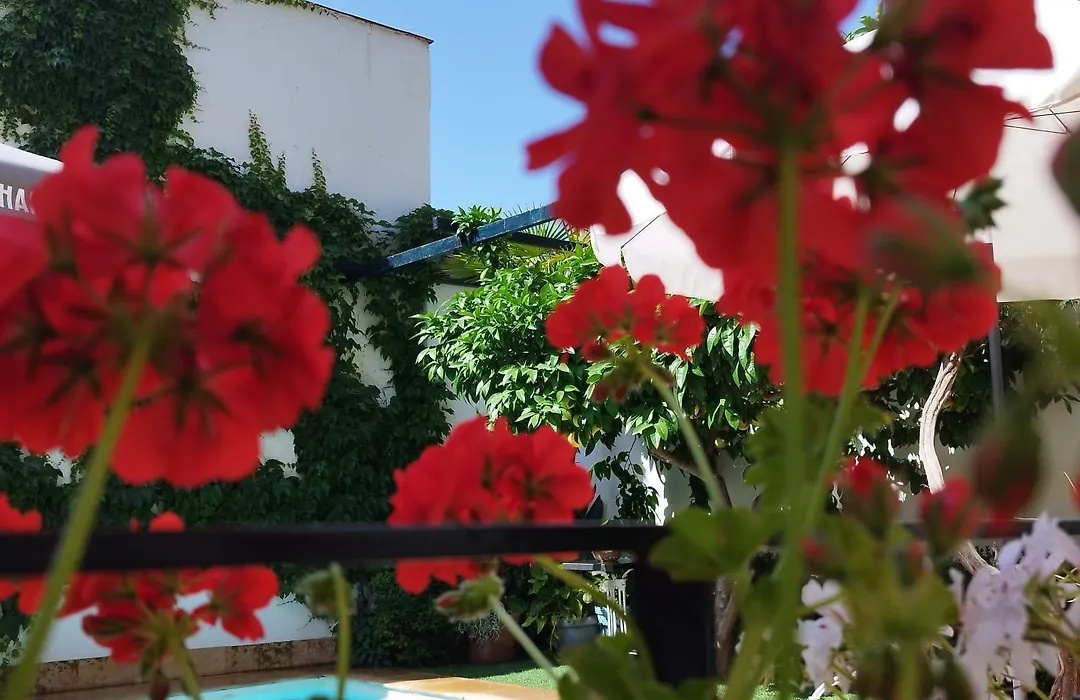 Suite Comares-1