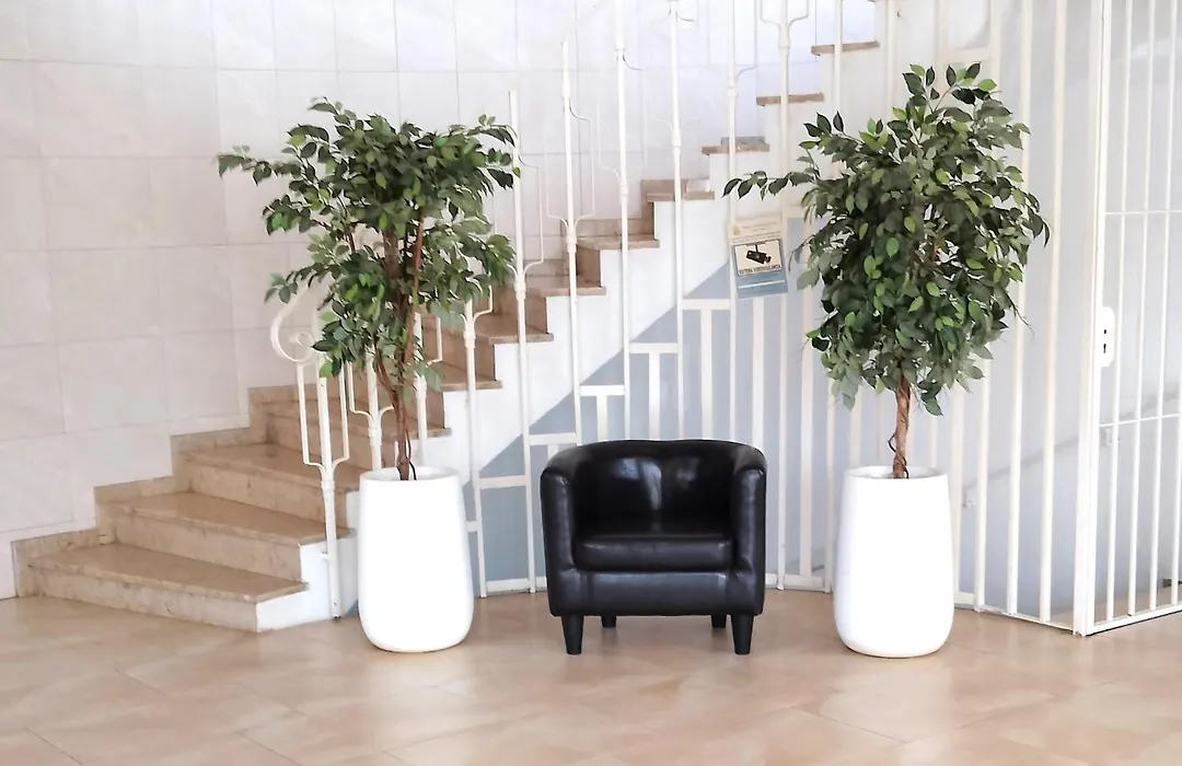Studio Ohana-1