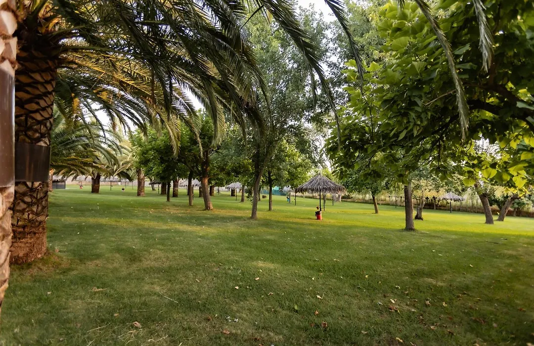 Hostal - Bungalows Camping Caceres-1