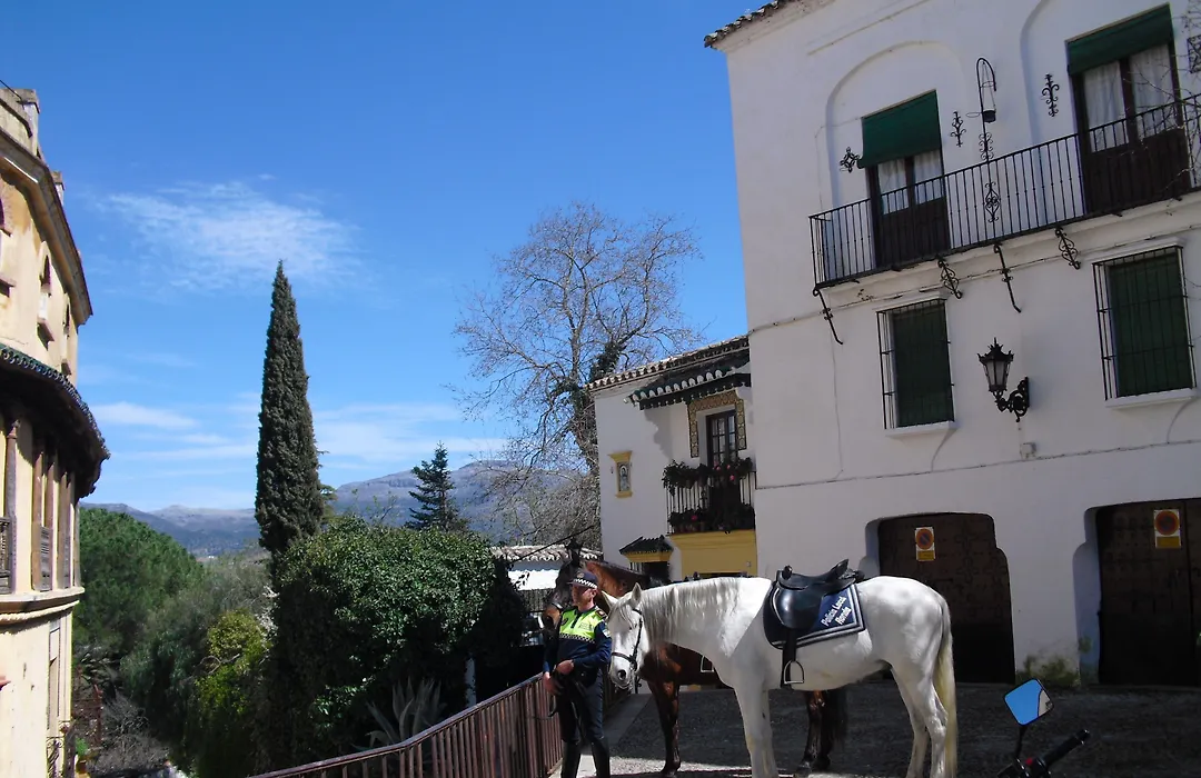 Ronda-1