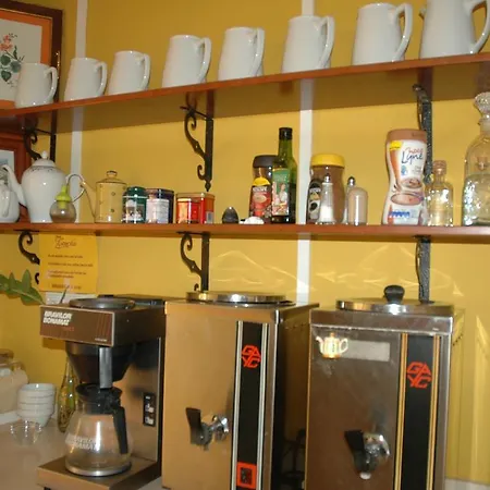 Hotel Jardin Concha-2
