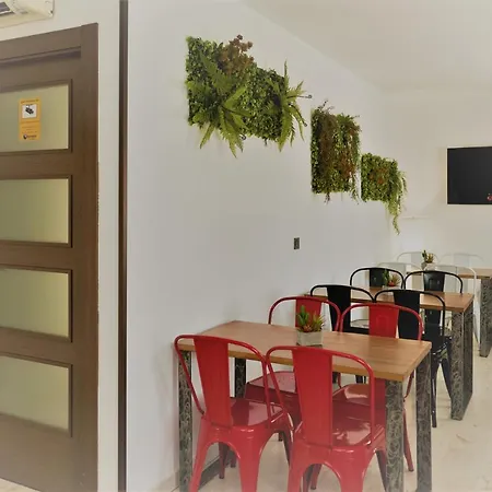 El Hostal de Violeta-3