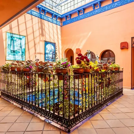 Patio De La Alameda-3