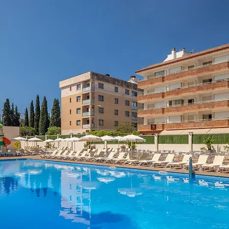 Htopbliss Amatista-3
