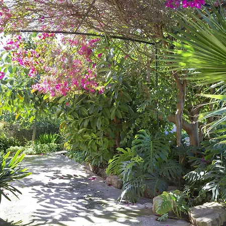 Finca Ca'N Quatre-3