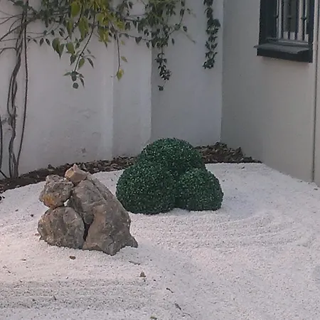 Hotel Domus-3