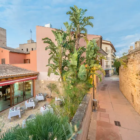 Alcudia Petit - Turismo De Interior-3