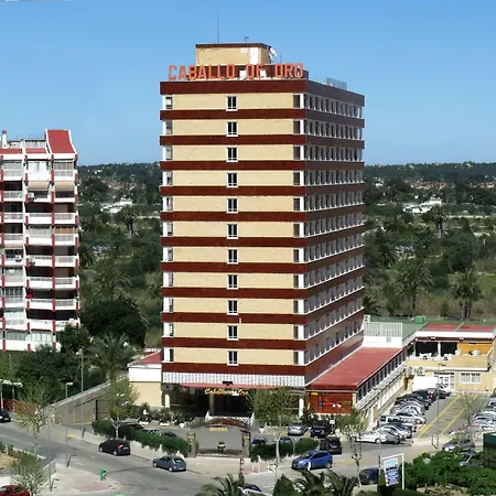Hotel Caballo De Oro-3