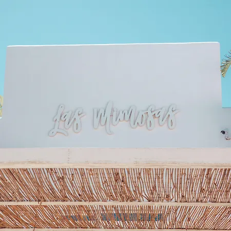 Hotel Boutique & Spa Las Mimosas Ibiza (Adults Only)-3