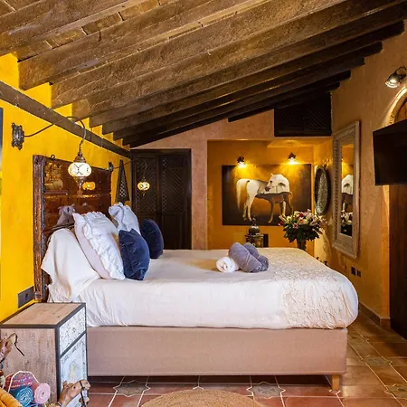 Cortijo Boutique Marbella-2