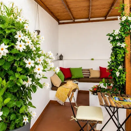 City Garden Bed And Breakfast-3