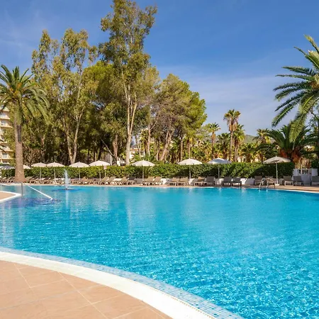 SOL Palmanova - Mallorca-2