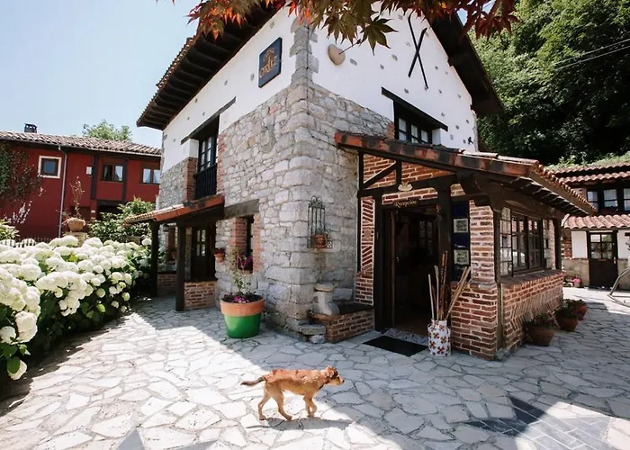 Casa Ortiz