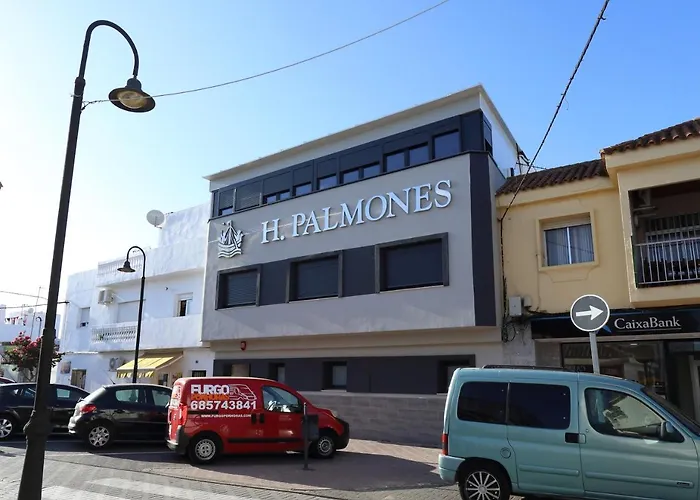 H.Palmones