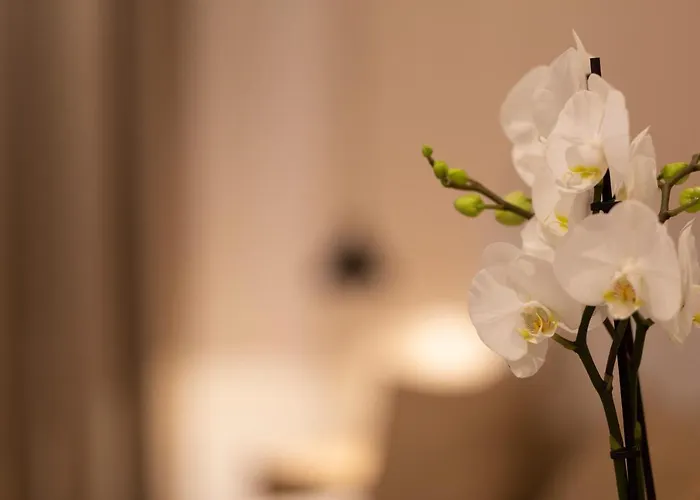 Room Boutique 32