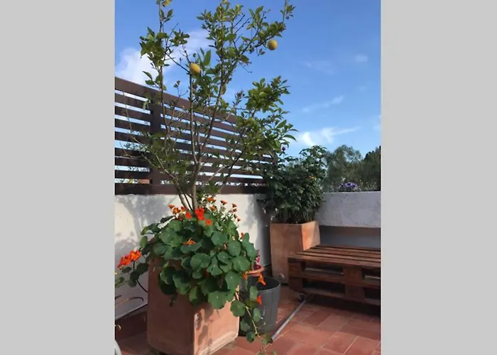 Casita blanca con fibra óptica y piscina cominutaria