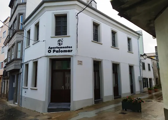 Paloma blanca
