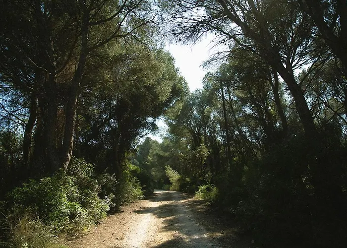 Masia Bartomeu Rural House Between Vineyards 2Km From The Beach