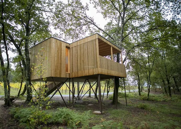 Cabañas Enoturismo María Manuela