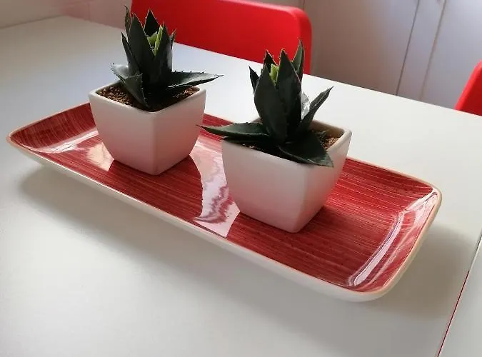 Apartamento Palo Cortao