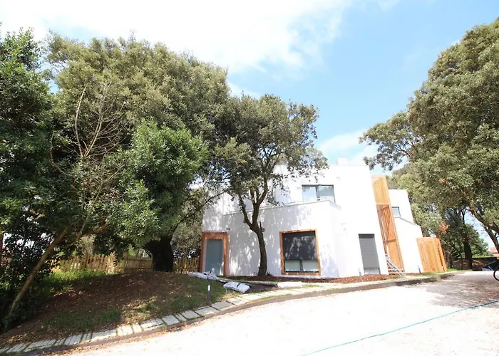 Apartamento 2 dormitorios con piscina y jardín - Apartamentos Montesomo