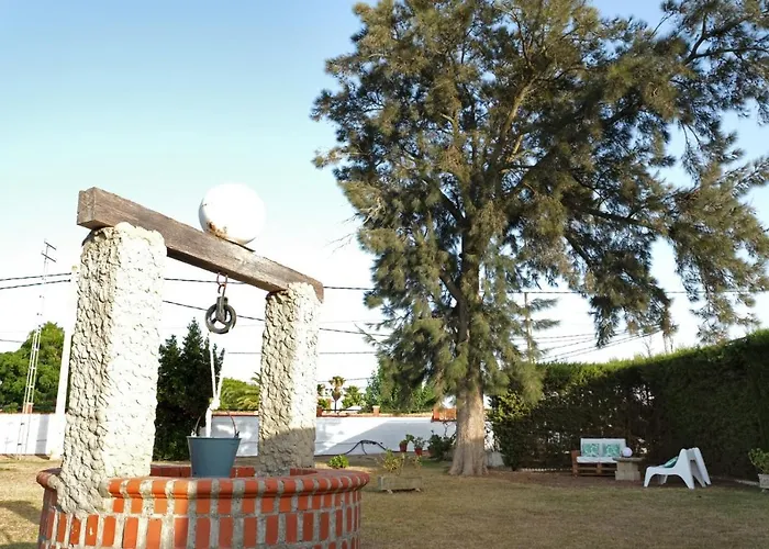 Solecito