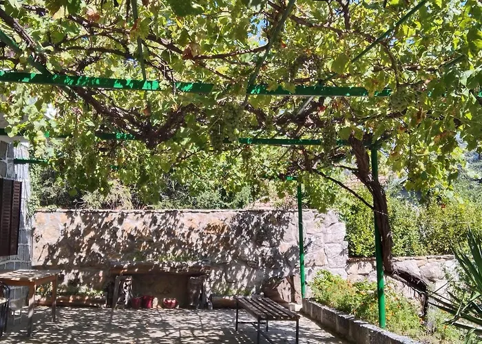 La Parra de Pepa