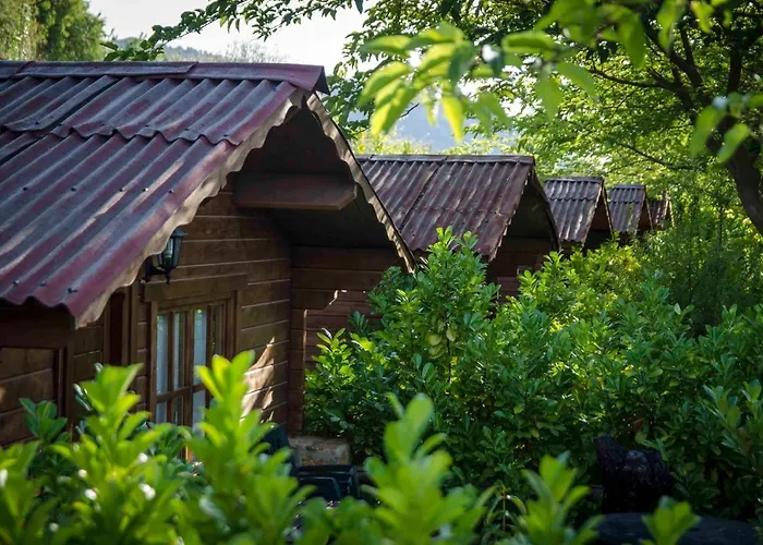 Fuente Del Lobo Glamping & Bungalows - Adults Only