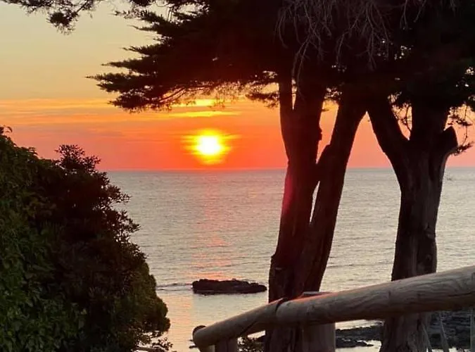 L'Armonia Entre La Farella I Cau Del Llop