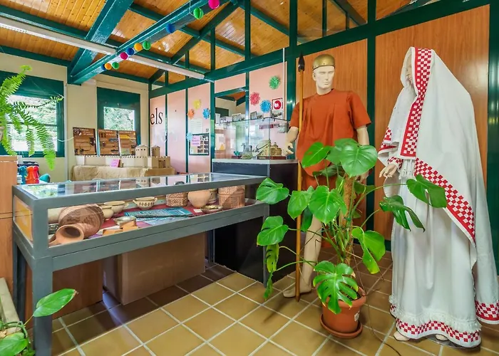 Camping Alberg Municipal Tivissa