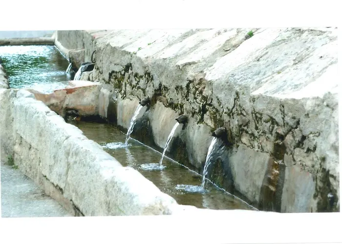Camping Alberg Municipal Tivissa
