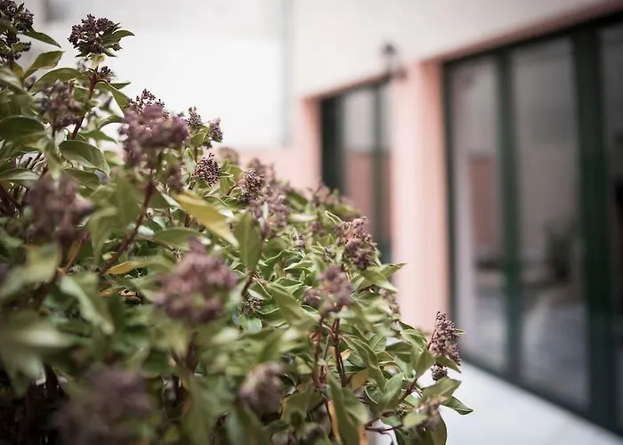 Apartamento en Centro Histórico con patio Romano