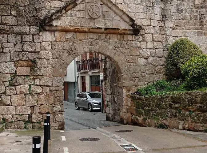 Lizarra 49