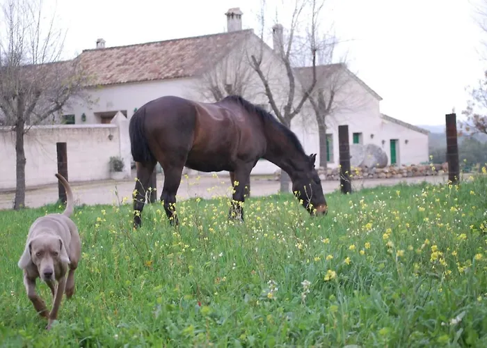 Casa Rural El Vihuelo