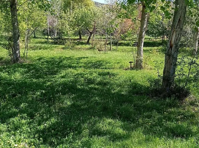 Camping Yaso-Guara