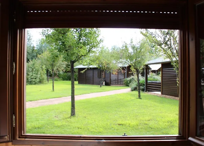 El Bosque de los Sueños - Cabañas en El Bierzo