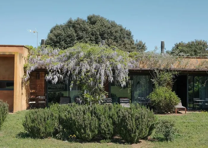 Hotel Fundació L'Olivar