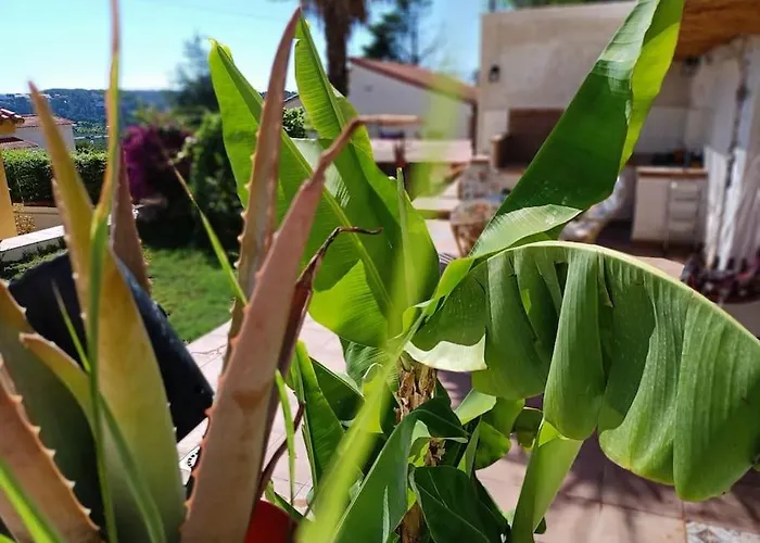 VILLA FALCONERA APARTAMENTS, GANDIA a las faldas de la montaña RELAX&PETS
