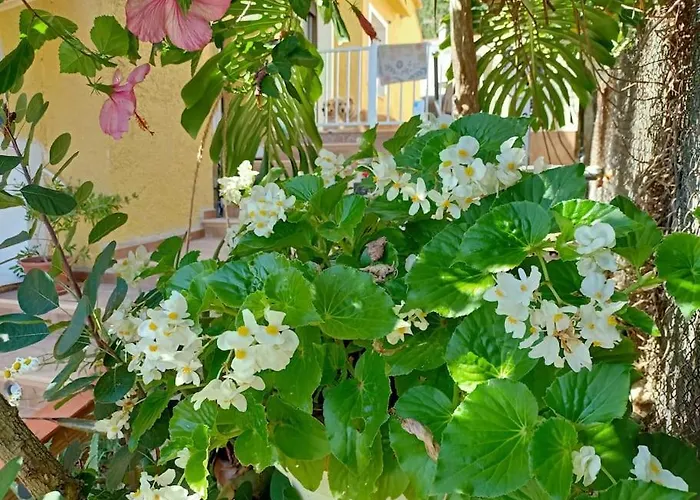VILLA FALCONERA APARTAMENTS, GANDIA a las faldas de la montaña RELAX&PETS