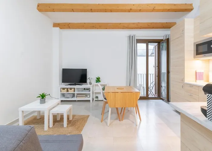 Nice City Center Apartment