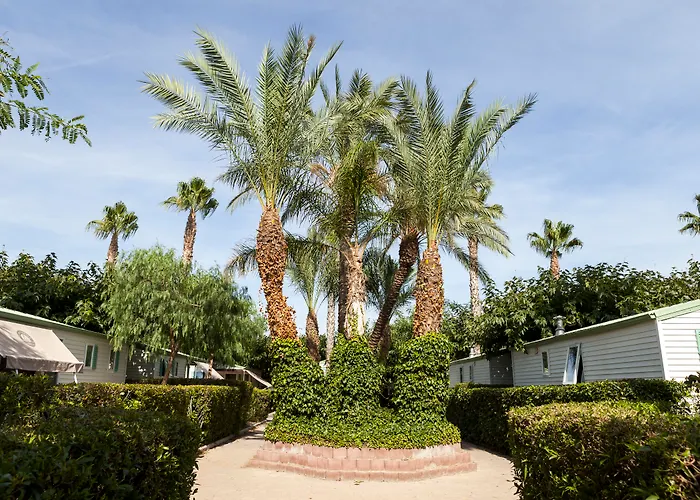 Camping Platja Cambrils