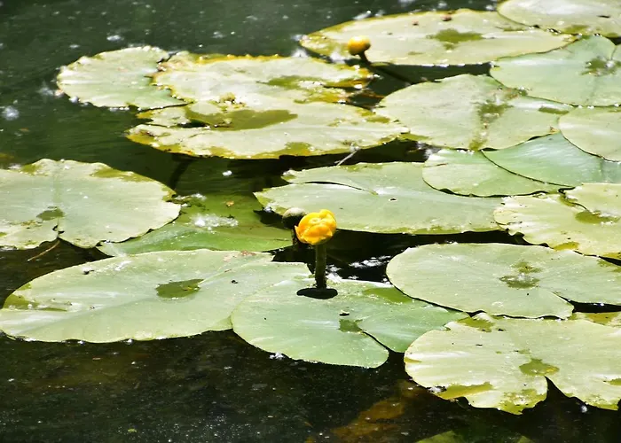 Hotel Spa Rio Ucero
