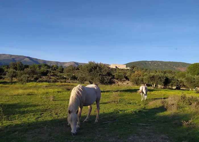La Encina del Abuelo