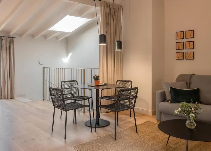 Can Veri Suites