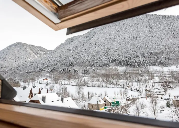 Hotel Snoe Colomers